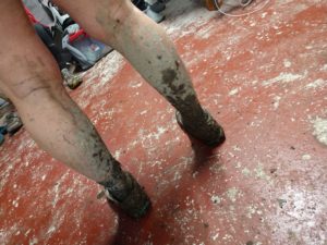 muddy-legs