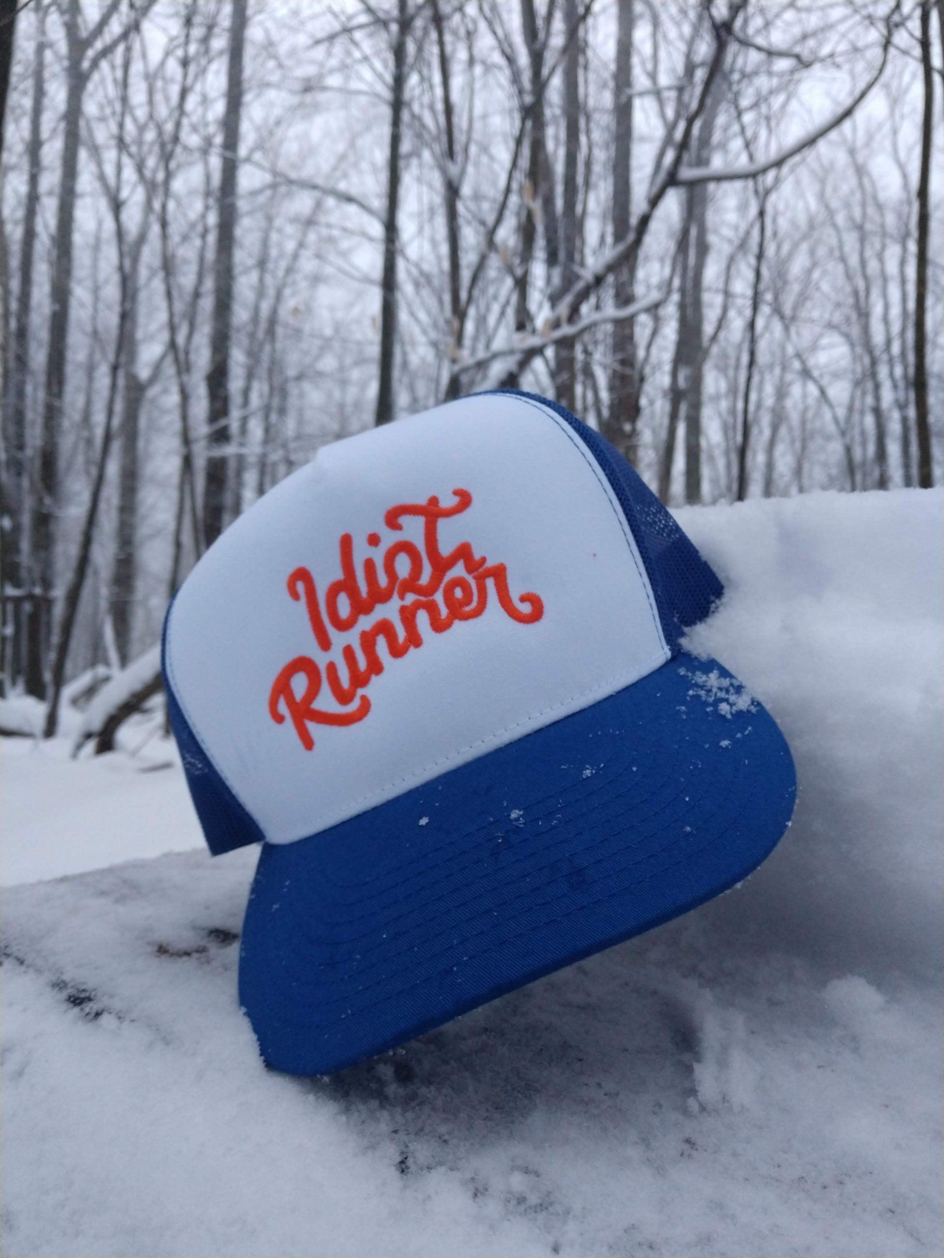 Read more about the article hat in snow